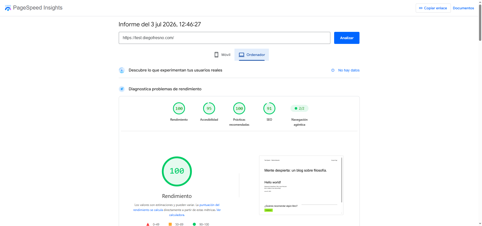 PageSpeed Insights escritorio de Raiola Networks: puntuación 100/100, test julio 2026