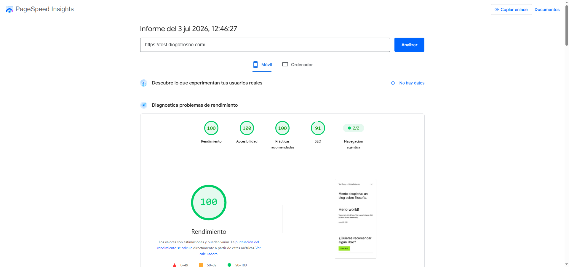 PageSpeed Insights móvil de Raiola Networks: puntuación 100/100, test julio 2026